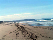 New Zealand-North Island-Trans New Zealand Ride - Coast to Coast